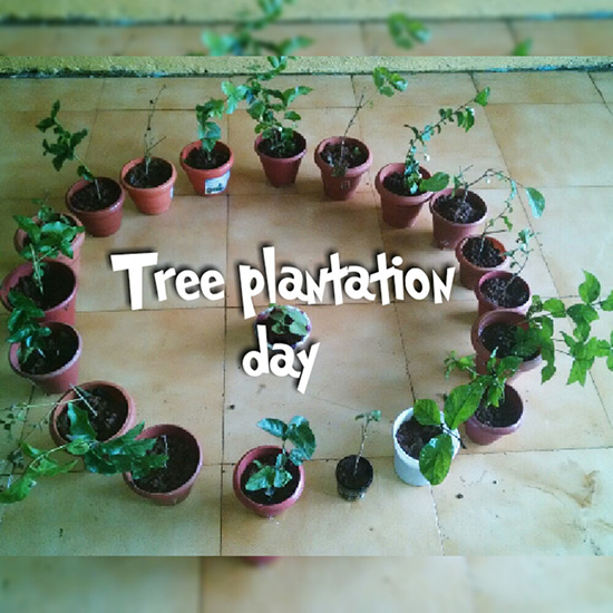Tree Plantation Activity